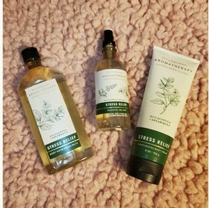Bath & Body Works Stress Relief Eucalyptus Trio